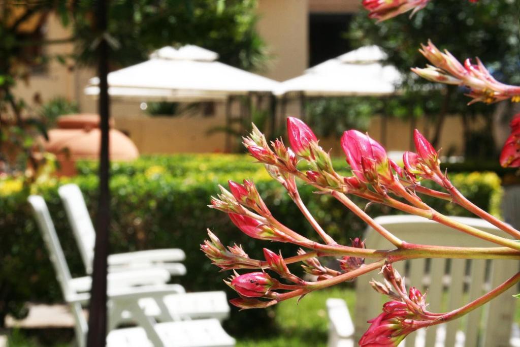 Solemare Accommodation Alghero Extérieur photo